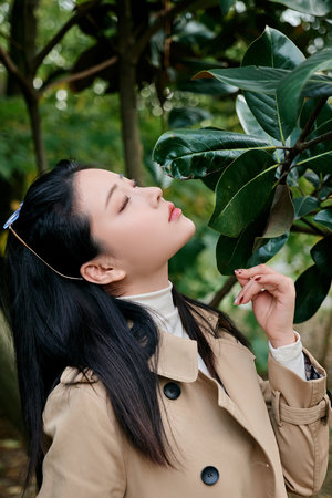 bt种子搜索神器