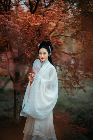 a级高清毛片